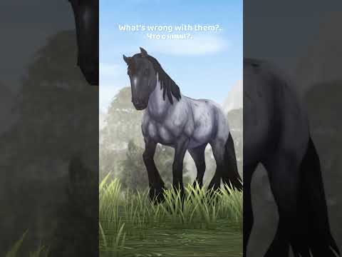 Они чувствуют ритм #sso #starstable #starstableonline #horse #horsegame #onlinegame #лошади #gaming