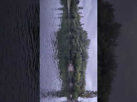 Truchas comiendo en el 📍rio tolten #fishing #araucania #chile