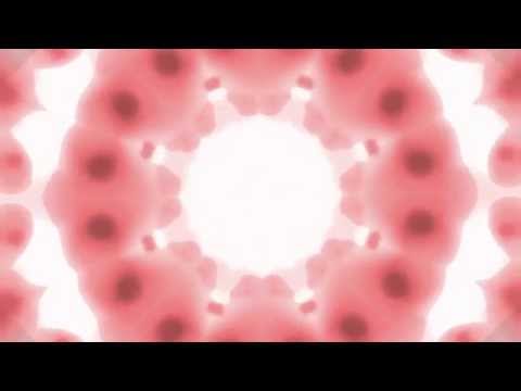 Boss Music (Commoninterest Remix feat. Alexis D'Souza & Rocio Marron on Violin) - Matthew Shell