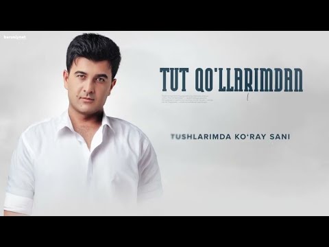 Dadish Aminov - Tut qo’llarimdan (Audio 2025)