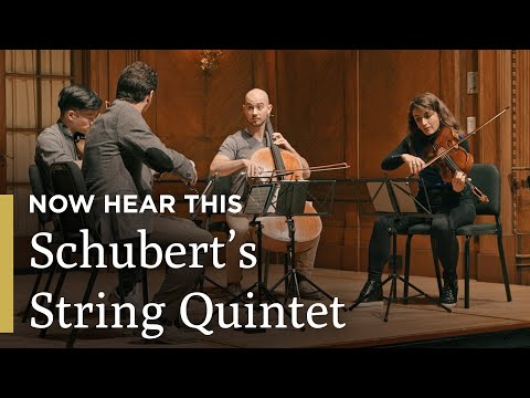 Schubert's String Quintet | The Schubert Generation | Now Hear This | Great Performances on PBS