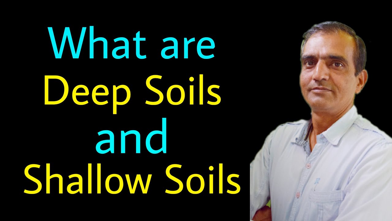 What are deep and Shallow Soils?