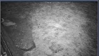 Thumbnail del capítulo