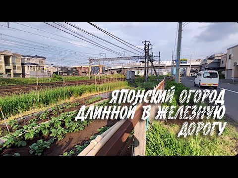 Огороды на рельсах: суровые хоккайдские грядки