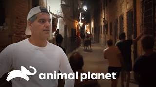 Thumbnail del capítulo