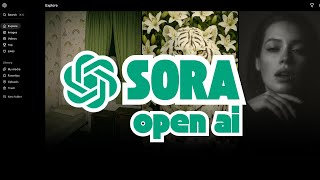 SORA Open Ai First Impressions