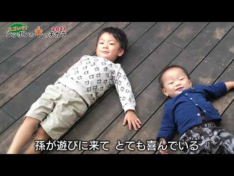  Storm Ciaran: 滑りやすい木製デッキに対処するための 6 つの専門家による滑り止めのヒント  庭園