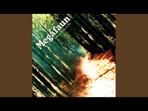 Worried Mind - Megafaun