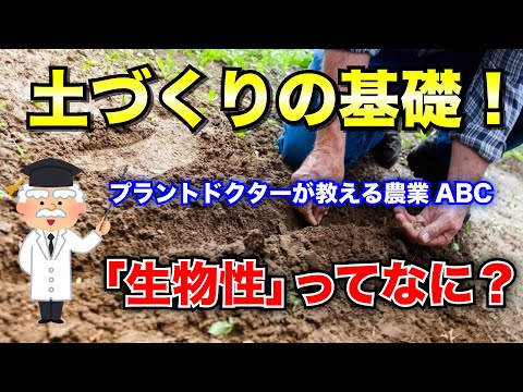 土壌の生物活性化 - 定義