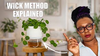 The Wick Method Explained: A Simple Semi Hydroponics Setup for Beginners