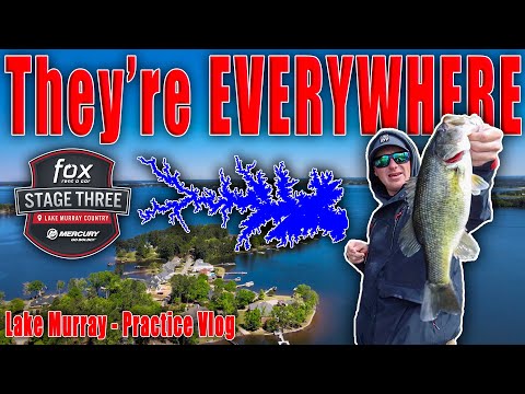 This Could Go Either Way... MLF Stage 3 - Lake Murray - Practice Vlog
