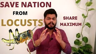 LOCUST TAMIL | LOCUST SWARMS INDIA | LOCUST ATTACK IN DECADES | WAY TO PREVENT LOCUST | TAMIL ✔✔ WAR