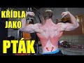 KŘÍDLA JAKO PTÁK? (Stahování tyče na věži podhmatem) | Cviky na křídla