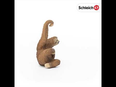 Schleich figūrėlė Tinginys video