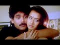 Nagarjuna Amala Akkineni Movie Best Love Scenes Nagarjuna Amala Akkineni Cinema Theatre