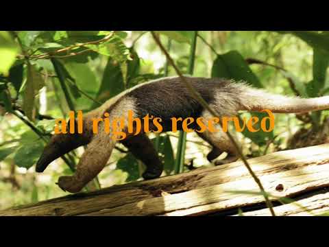 ALL RIGHTS RESERVED.TRUE STORY