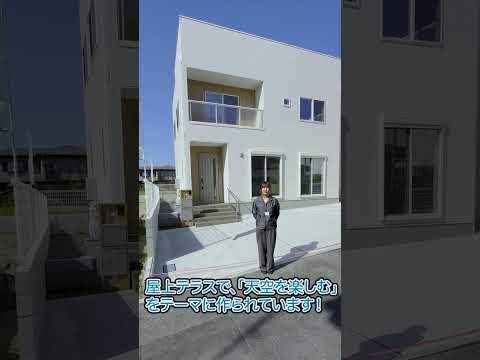 amenagement-toit-terrasse-idee-deco--sapins-palmiers