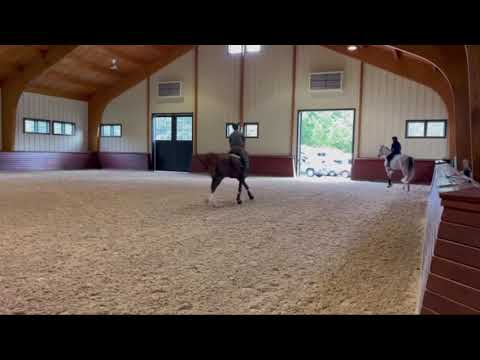 Eclat du Cerisier - Rodrigo Pessoa - septembre 2021