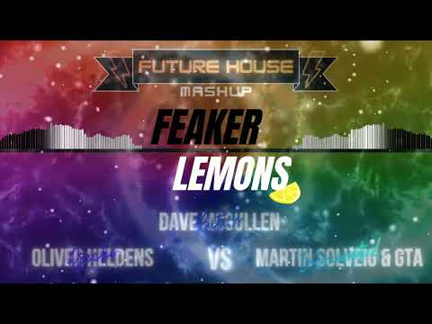 Oliver Heldens & Martin Solveig ft. Dave McCullen - Geckoxicated Bitch (Lemons Mashup)