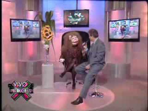 SuperXclusivo 1/28/10 - Se copian de La Comay y ni siquiera saben hacerlo