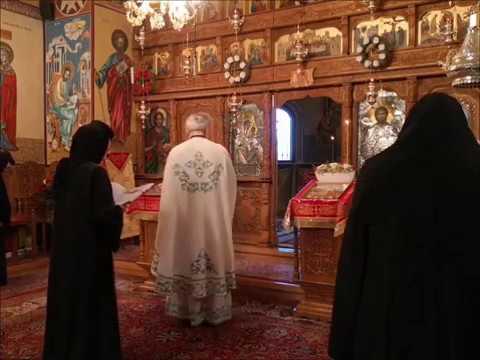 20200119 NICOLAE BALASOIU –  DUMINICA CELOR ZECE LEPROSI