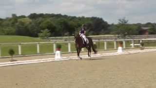 Video of For Comtess Royal NG