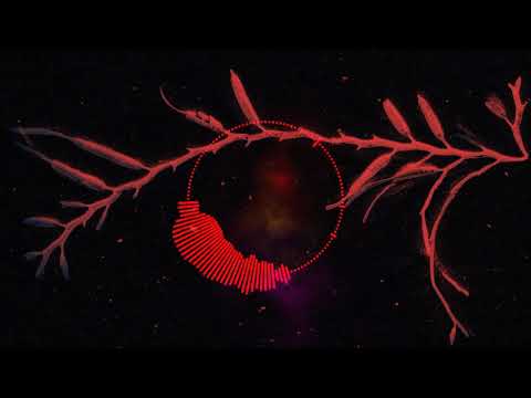 Lil lean - gang love