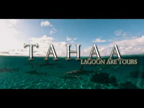 TAHAA PARATAITO'X 02