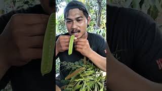 Download lagu sebelum ngabudah bari kekerejetan... mp3