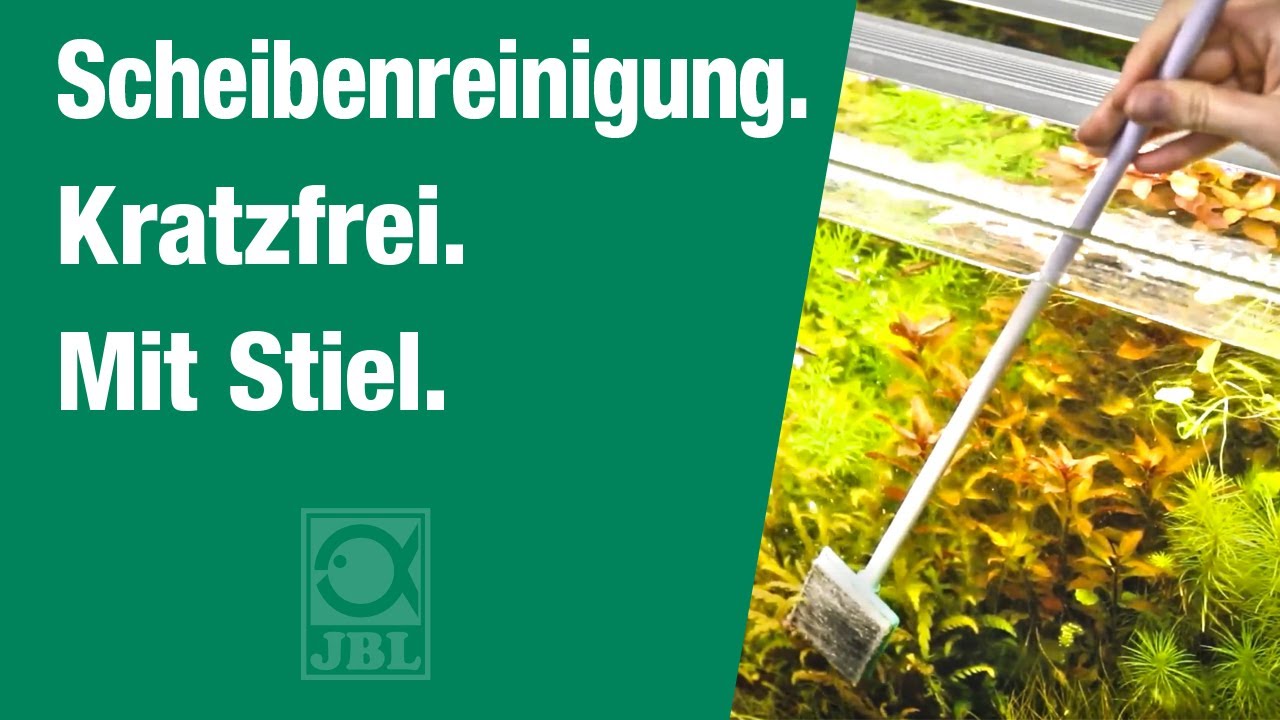 JBL Blanki Set - Aquarien-Scheibenreiniger mit Stiel 45 cm