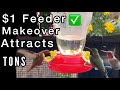 $1 Hummingbird Feeder *HACK* brings Tons of Hummingbirds to Dollar Tree Feeder | DIY Homemade Nectar