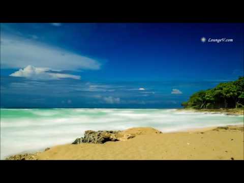 Pryda Vs  Marvin Gaye   - Too Busy Thinking About Leja (Mashup)