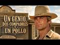 A Genius Two Partners And A Dupe Terence Hill Full Movie 4K