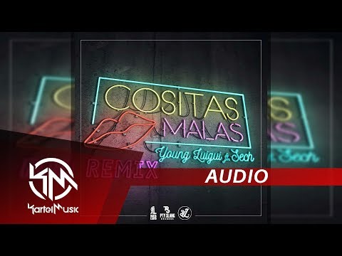 Young Luigui Ft Sech - Cositas Malas Remix | AUDIO