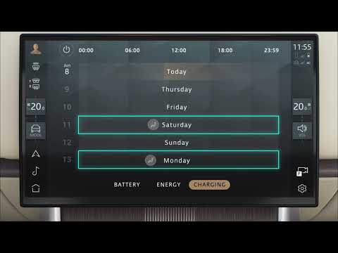 Video preview