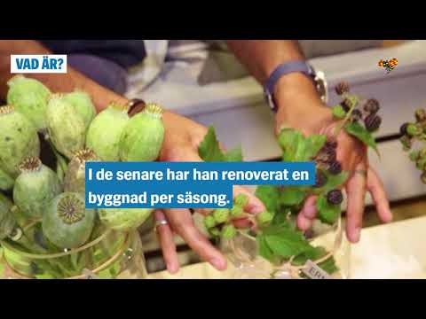 Ännu en sommar med Ernst