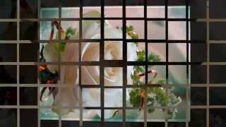 Tango Serenade ~ Alfred Hause si  Orchestra  ~