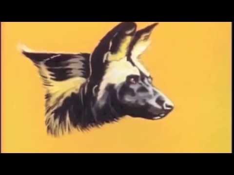 Maramza - Dogs N Robbers
