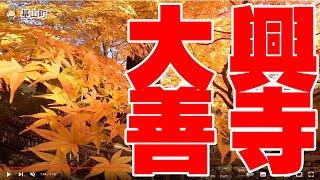 【きやまTV】大興善寺