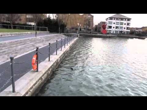 eipo iz in love  but ...