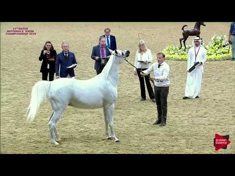 N.296 BATOUL AL NAIF - 21st Qatar National 2018
