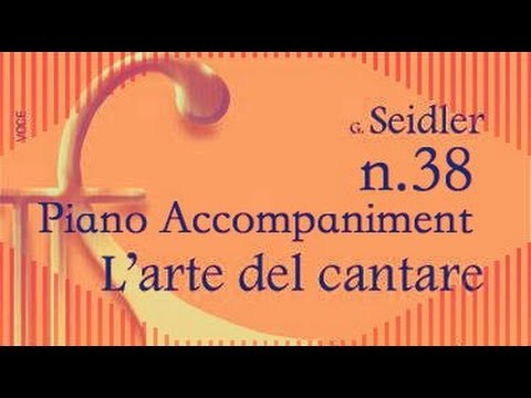 Seidler n.38 - Piano Accompaniment (Play - Along)