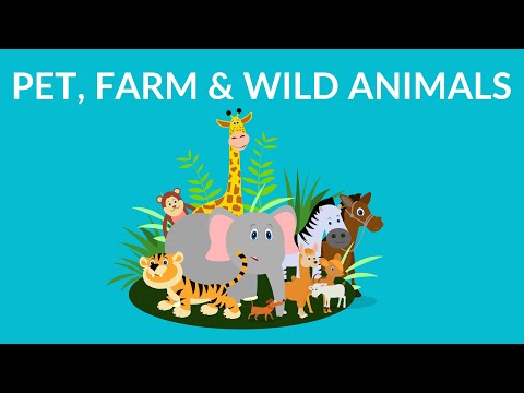 Pet Farm and Wild Animals || Animal Video for Kids