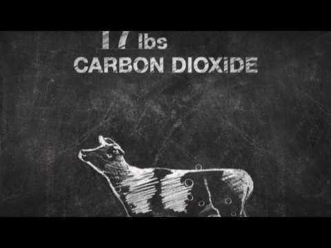 How Do You Make Ethanol? | The Ethanol Effect