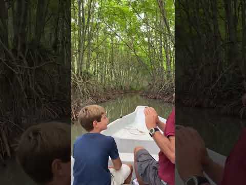 Can Gio mangrove forest 1 day