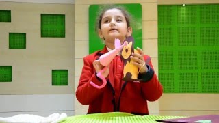 Bal Niketan Model School Video