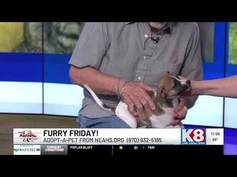 Pixie Mamas Rescue