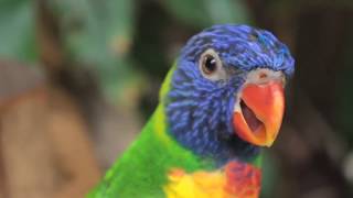 Narooma Renewable Expo Nov 25th