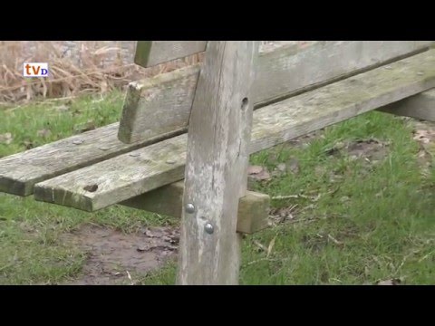 RAAD-VIDEO Dalfsen [6] - Wie ziet het?