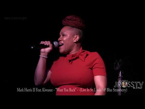 James Ross @ Kiwanee Kiwanee - "I Want You Back" - With The Avengers Band - www.Jross-tv (St. Louis)